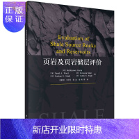 惠典正版页岩及页岩储层评价/支东明