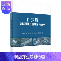 惠典正版白云岩成因机理分析理论与技术/李祖兵