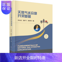 惠典正版天然气水合物开采基础/宋永臣,赵佳飞,杨明军