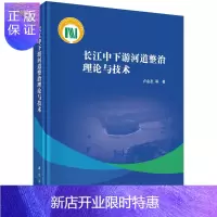 惠典正版长江中下游河道整治理论与技术/卢金友等