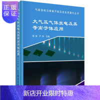 惠典正版大气压气体放电及其等离子体应用