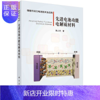 惠典正版先进电池功能电解质材料/陈人杰