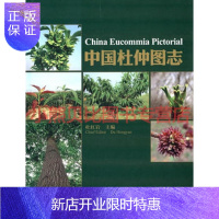 惠典正版中国杜仲图志杜红岩中国林业出版社