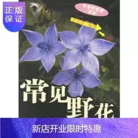 惠典正版常见野花,汪劲武,中国林业出版社