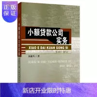 惠典正版小额贷款公司实务