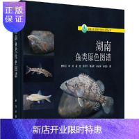 惠典正版湖南鱼类原色图谱