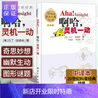 惠典正版Aha! Insight 啊哈 灵机一动(中译本) 马丁·伽德纳 李建臣等译中学教辅文教读物 科普
