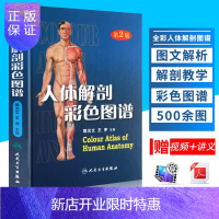 惠典正版人体解剖彩色学图谱 第2版第二版 郭光文王序人卫人体解剖生理学艺用人体解剖奈特人体解剖学彩色图谱教