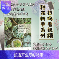 惠典正版多肉初学者手册 第2版 吴晓云 程建军 王鹏 著 种花新手系列 栽培养护攻略 中多肉盆栽设计方法