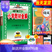 惠典正版2021年新版六年级下册教材全解语文部编人教版课本小学生6学期解读帮人教全解妙七彩课堂笔记点拨奇迹课
