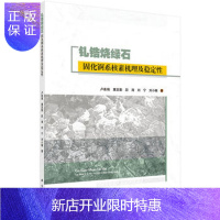 惠典正版正版 钆锆烧绿石固化锕系核素机理及稳定性 卢喜瑞 等 9787030508799 科学