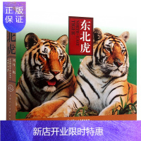 惠典正版东北虎 刘丹动物猛禽摄影图片资料美术绘画素材书籍天津人民美术出版社