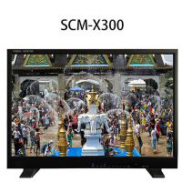 SanWarm 盛火科技 21.5-31寸4K高清电影级监视支持HDMI/DVI输出SCM-X300
