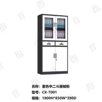 首指(SZ)加厚文件柜CX-T-001
