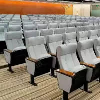 首指(SZ)礼堂椅/影院椅LTY-1