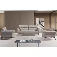 首指(SZ)办公沙发/SC-2206