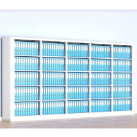 首指(SZ)双面书架/CX-003