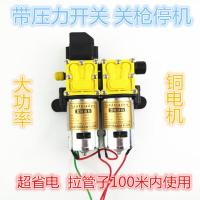 12双核动力水泵 农用电动喷雾器双泵高压 12伏双核智能压力水泵