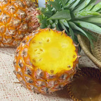 [现摘现发]海南正宗金钻凤梨 香浓甜蜜 不需挖洞眼 不需盐水泡 热带水果 新鲜水果