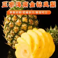[现摘现发] 海南正宗金钻凤梨 香浓甜蜜 不需挖洞眼 不需盐水泡 热带水果 新鲜水果