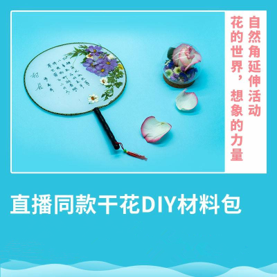 [预售]明鼎教育-花草创意DIY材料包(干花团扇,ST020-1)