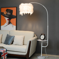 羽毛落地灯 卧室ins风少女网红北欧钓鱼灯客厅茶几台灯床头灯