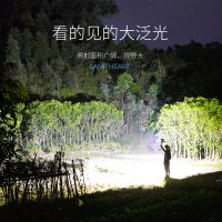 充电灯家用太阳能灯户外led投光灯野营手提停电备用灯工地应急灯