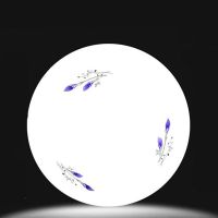 led吸顶灯圆形走廊灯卧室过道客厅灯阳台厨卫灯现代简约灯饰灯具