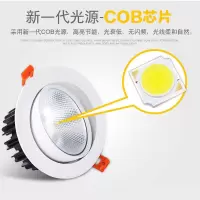 led天花灯大功率 小3w5w12w18w客厅射灯高光烤白牛眼天花筒射灯