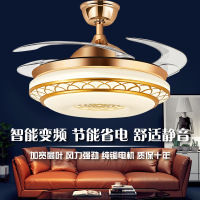 纯铜电机隐形风扇灯吊扇灯餐厅客厅卧室现代简约led吸顶欧式吊灯
