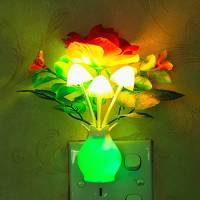 买1送1 光控小夜灯插电led节能灯感应灯喂奶灯夜光灯遥控开关灯