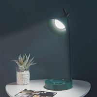 护眼台灯充电插电led学习阅读儿童学生灯罩宿舍少女寝室卧室女生