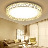 led吸顶灯圆形卧室灯简约现代客厅灯大气创意鸟巢房间灯具灯饰