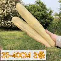 天然丝瓜络洗碗丝瓜瓤搓澡巾中药材下奶丝瓜藤百洁布厨房刷碗海绵|35-40CM长[3条]
