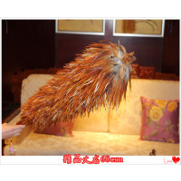 纯手工真鸡毛掸子家用除尘禅子清洁神器不掉毛伸缩车用除灰尘毯子|木柄精品火龙加密68cm下翻不伸缩