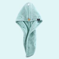 干发帽强吸水擦头发速干毛巾女长发成人双层加厚简约干发毛巾|清新绿(双层)