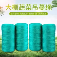 吊秧绳农用防老化吊蔓绳大棚用塑料绳子黄瓜西红柿绑蔓蔬菜吊绳|90股2斤200米