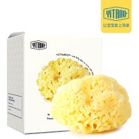 希腊天然海绵婴儿宝宝洗澡浴球擦蜂窝新生儿洗脸沐浴|蜂窝海绵B级9cm