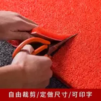 加厚垫子地垫脚垫塑料丝圈地毯家用厨房门口进门垫商用可定制尺寸