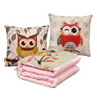 抱枕被子两用可爱靠枕床头靠垫办公室腰靠汽车沙发靠背来图可定制