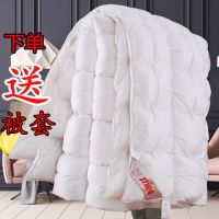 羽绒被95白鹅绒被五星级酒店冬季被子被芯双人加厚被子婚庆学生