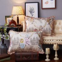 欧式沙发靠枕长方形靠垫抱枕套含芯客厅床头腰靠背家用大号507080