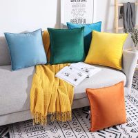 加厚丝绒高档天鹅绒抱枕套沙发北欧坐垫靠背荷兰绒床靠不含芯450