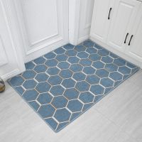 进门门垫地垫定制入户脚垫门厅客厅卧室满铺垫子防滑地垫地毯家用