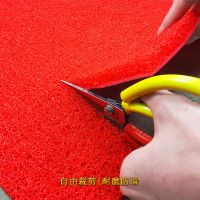 可裁剪地毯迎宾垫丝圈地垫pvc塑料红地毯入户门垫家用防滑脚垫
