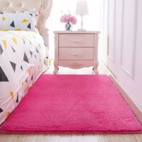 卧室地毯可爱床边地毯地垫飘窗客厅茶几满铺地毯