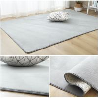 ins风地毯卧室可爱少女心客厅茶几床边毯飘窗房间满铺榻榻米地垫