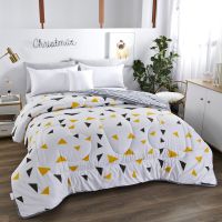 被子被芯夏被空调被双人春秋被加厚冬被棉被单人学生被宿舍被褥子