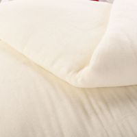 棉被子新疆棉花被芯棉絮垫被褥子单人冬被加厚春秋被双人纯棉