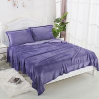 法兰绒毛毯床单春秋午睡毯床单珊瑚绒毯子保暖绒床单宿舍毯四季毯